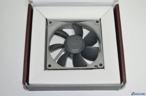 NOCTUA NF R8 redux 1800 PWM_003