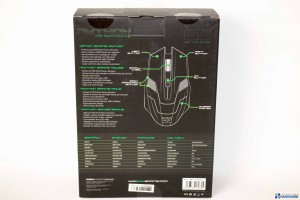 bg-python-review_002